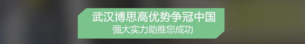 武漢交通設施公司